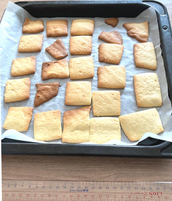 ふつーのクッキー試作品