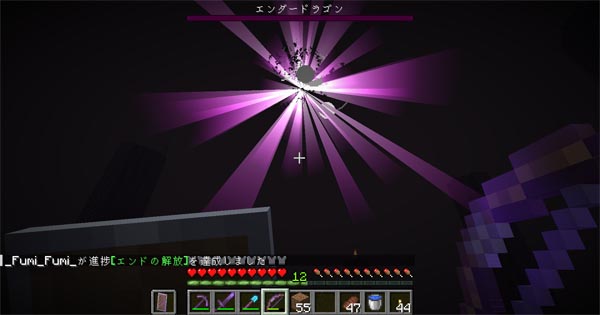 エンダードラゴン討伐した!