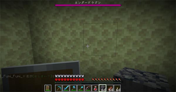 エンドスポーン地点。幸い全周囲エンドストーンに囲まれた安全地帯に着地。