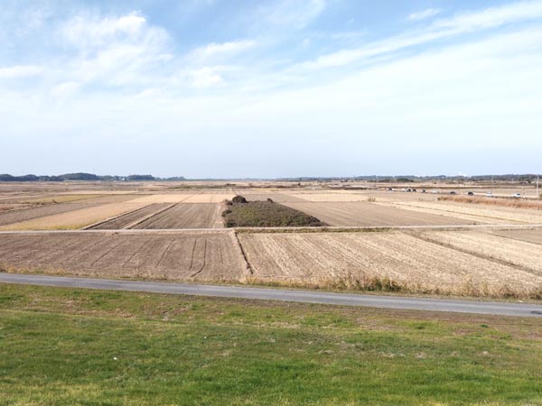 田園っぽいっしょ