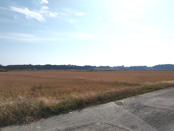 思いのほか舗装されてた